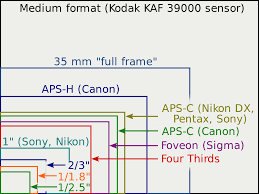 Proporción de sensor